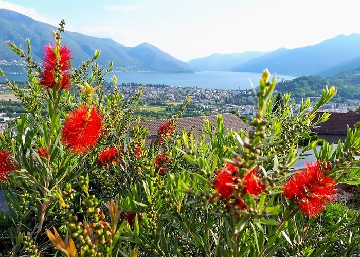 Apartment Vista Panorama By Interhome